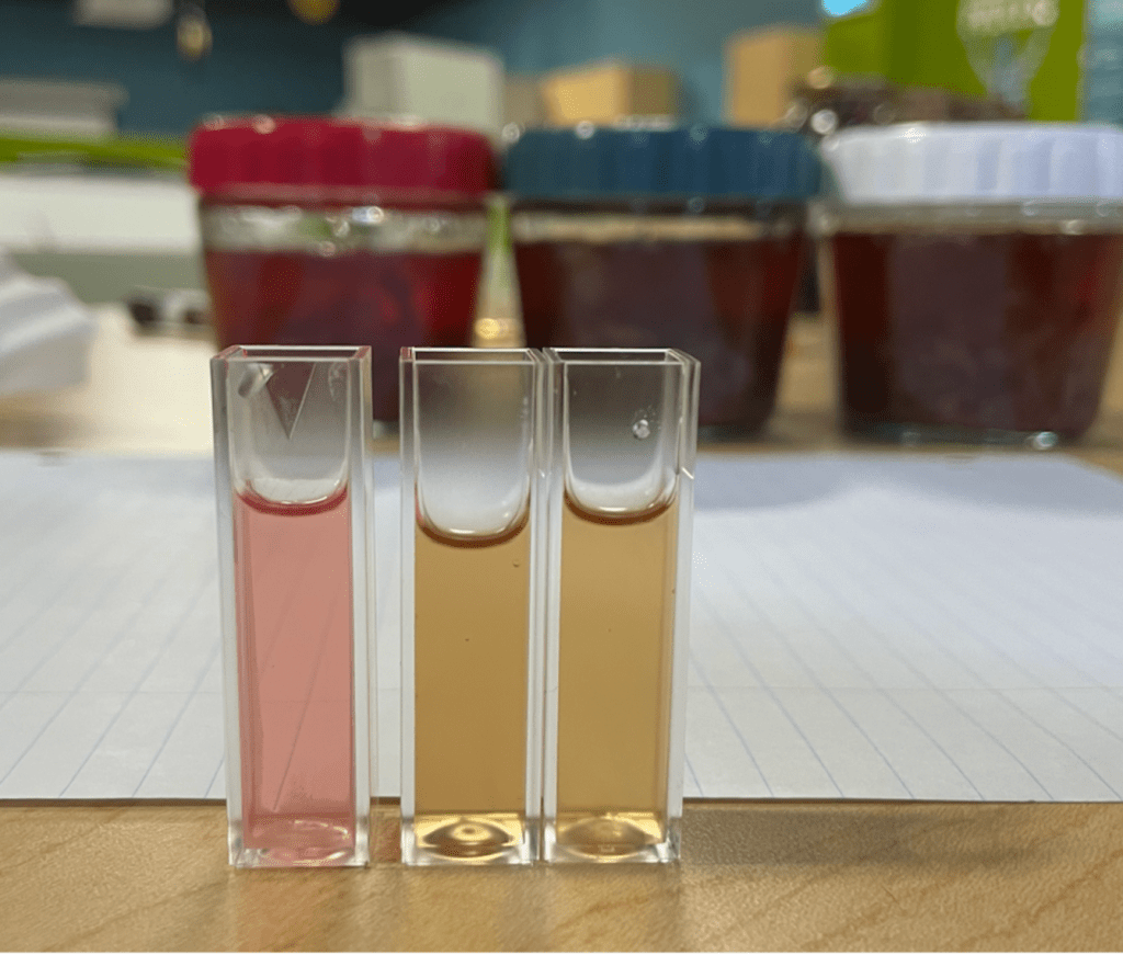 The pH 3.21 extraction shows a faint pink colour. pH 6.09 and 9.17 show a brown tinted colour.